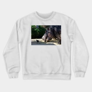 Hippo Vegetarian Crewneck Sweatshirt